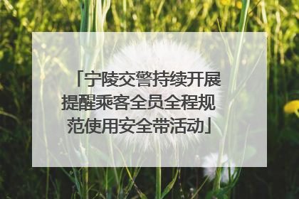 宁陵交警持续开展提醒乘客全员全程规范使用安全带活动