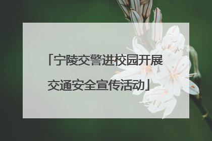 宁陵交警进校园开展交通安全宣传活动
