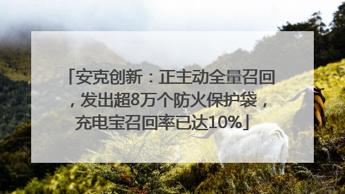 安克创新：正主动全量召回，发出超8万个防火保护袋，充电宝召回率已达10%