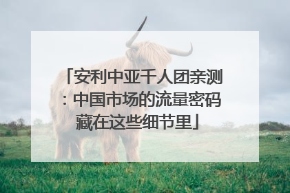 安利中亚千人团亲测：中国市场的流量密码 藏在这些细节里