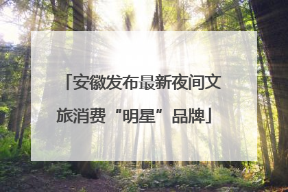 安徽发布最新夜间文旅消费“明星”品牌