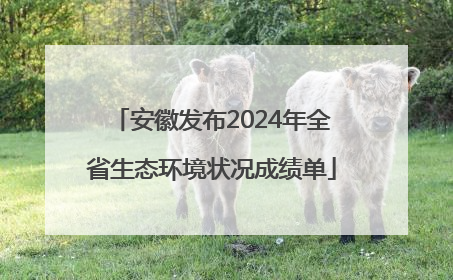 安徽发布2024年全省生态环境状况成绩单