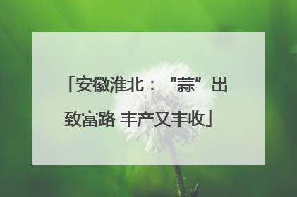 安徽淮北：“蒜”出致富路 丰产又丰收
