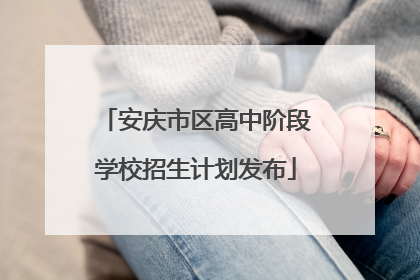 安庆市区高中阶段学校招生计划发布