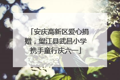 安庆高新区爱心捐赠，望江县武昌小学携手童行庆六一