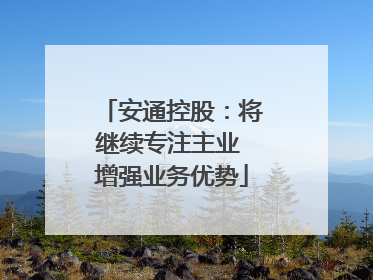 安通控股：将继续专注主业 增强业务优势