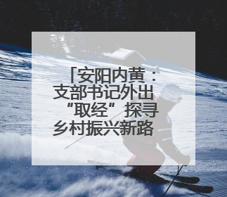 安阳内黄：支部书记外出“取经”探寻乡村振兴新路径