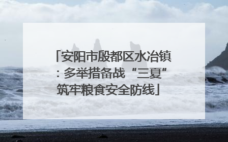 安阳市殷都区水冶镇：多举措备战“三夏” 筑牢粮食安全防线