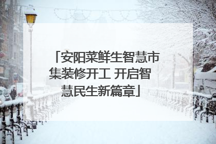 安阳菜鲜生智慧市集装修开工 开启智慧民生新篇章