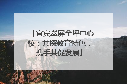 宜宾翠屏金坪中心校：共探教育特色，携手共促发展