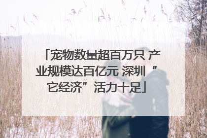 宠物数量超百万只 产业规模达百亿元 深圳“它经济”活力十足