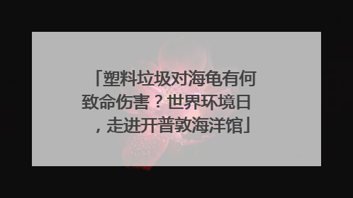 塑料垃圾对海龟有何致命伤害？世界环境日，走进开普敦海洋馆