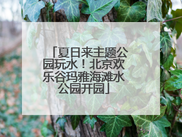 夏日来主题公园玩水！北京欢乐谷玛雅海滩水公园开园