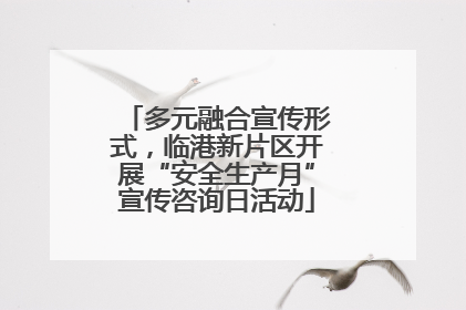 多元融合宣传形式，临港新片区开展“安全生产月”宣传咨询日活动