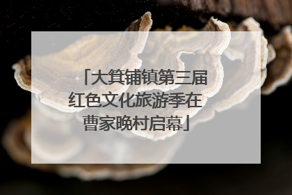 大箕铺镇第三届红色文化旅游季在曹家晚村启幕