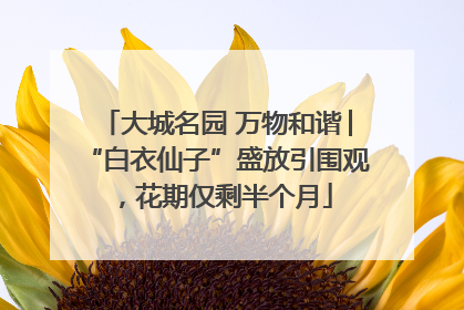 大城名园 万物和谐│“白衣仙子”盛放引围观，花期仅剩半个月