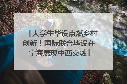 大学生毕设点燃乡村创新！国际联合毕设在宁海展现中西交融