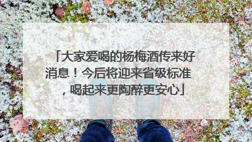 大家爱喝的杨梅酒传来好消息！今后将迎来省级标准，喝起来更陶醉更安心