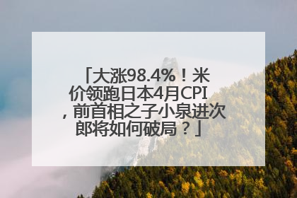大涨98.4%！米价领跑日本4月CPI，前首相之子小泉进次郎将如何破局？