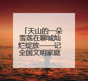天山的一朵雪莲在聊城灿烂绽放——记全国文明家庭“詹春芳家庭”