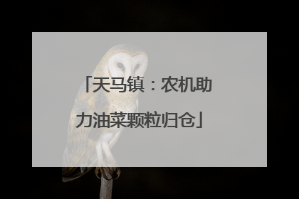 天马镇：农机助力油菜颗粒归仓