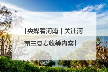 央媒看河南｜关注河南三夏麦收等内容