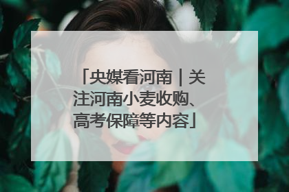 央媒看河南｜关注河南小麦收购、高考保障等内容