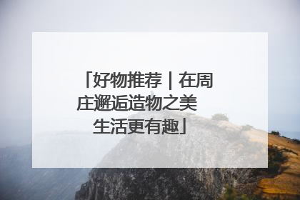 好物推荐｜在周庄邂逅造物之美 生活更有趣