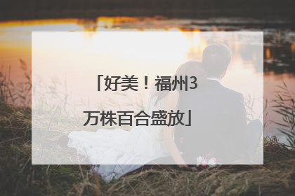 好美！福州3万株百合盛放