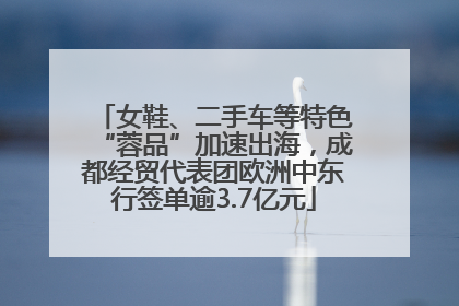 女鞋、二手车等特色“蓉品”加速出海，成都经贸代表团欧洲中东行签单逾3.7亿元