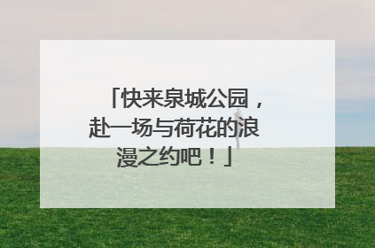 快来泉城公园，赴一场与荷花的浪漫之约吧！