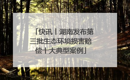快讯丨湖南发布第三批生态环境损害赔偿十大典型案例