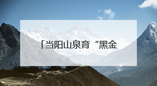 当阳山泉育“黑金” 一条鲟鱼“游”出10亿元大产业