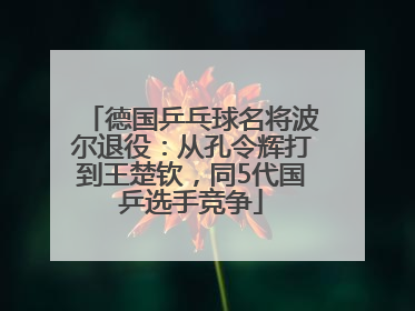 德国乒乓球名将波尔退役：从孔令辉打到王楚钦，同5代国乒选手竞争