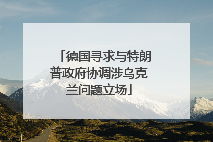 德国寻求与特朗普政府协调涉乌克兰问题立场
