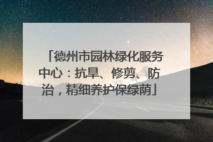 德州市园林绿化服务中心：抗旱、修剪、防治，精细养护保绿荫