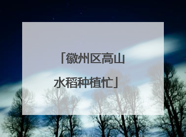 徽州区高山水稻种植忙