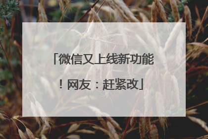 微信又上线新功能！网友：赶紧改