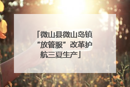 微山县微山岛镇“放管服”改革护航三夏生产
