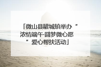 微山县驩城镇举办“浓情端午·圆梦微心愿”爱心帮扶活动