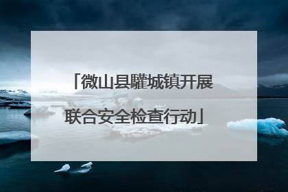 微山县驩城镇开展联合安全检查行动