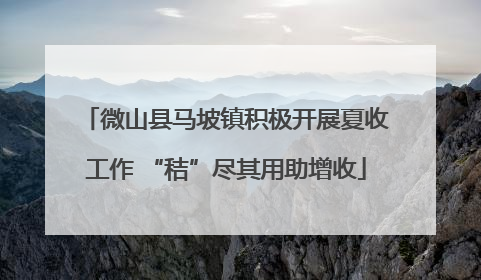 微山县马坡镇积极开展夏收工作 “秸”尽其用助增收