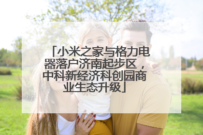小米之家与格力电器落户济南起步区，中科新经济科创园商业生态升级