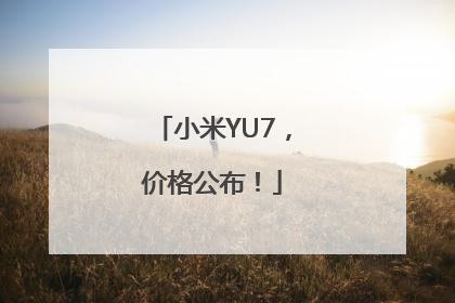 小米YU7，价格公布！