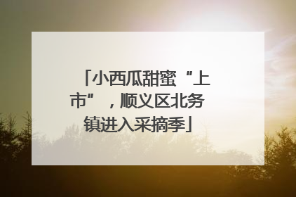 小西瓜甜蜜“上市”，顺义区北务镇进入采摘季