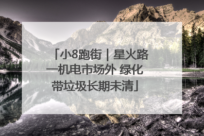 小8跑街｜星火路一机电市场外 绿化带垃圾长期未清