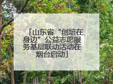 山东省“创培在身边”公益志愿服务基层联动活动在烟台启动