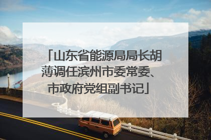 山东省能源局局长胡薄调任滨州市委常委、市政府党组副书记