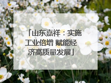 山东嘉祥：实施工业倍增 赋能经济高质量发展