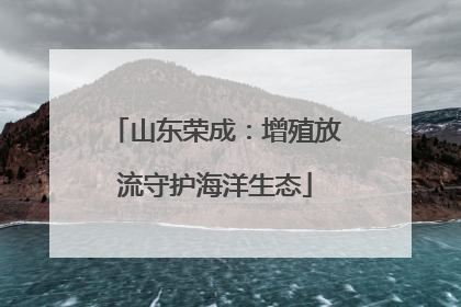 山东荣成：增殖放流守护海洋生态